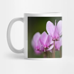 cyclamen hederifolium, ivy-leaved cyclamen Mug